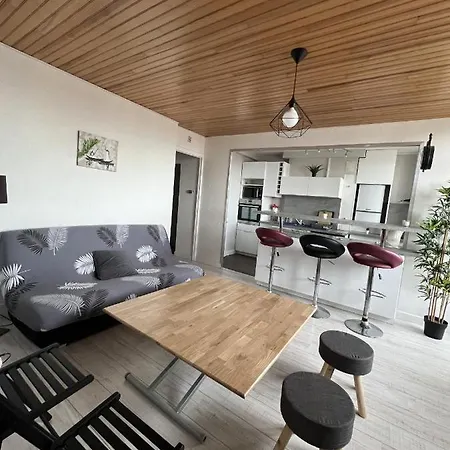 Le Pont Jumeau - T4 Proche Airbus Apartment Toulouse