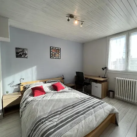Apartment Le Pont Jumeau - T4 Proche Airbus Toulouse